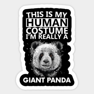 giant panda bear Sticker